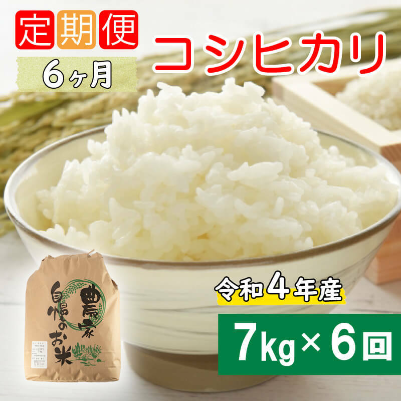 定期便 6回 令和5年産 コシヒカリ 7kg あいなんマザーズ 減農薬 お米 新米 コメ 精白米 ご飯 ごはん 愛媛県 愛南町 発送期間：2023年9月～