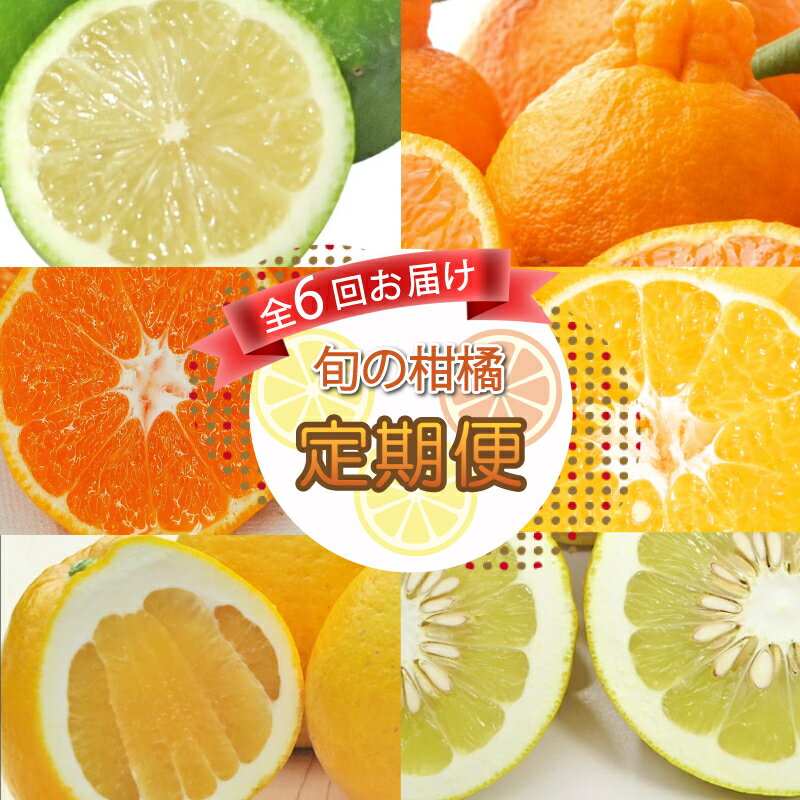 【ふるさと納税】 旬の 柑橘類 食べ比べ お楽しみ 定期便 