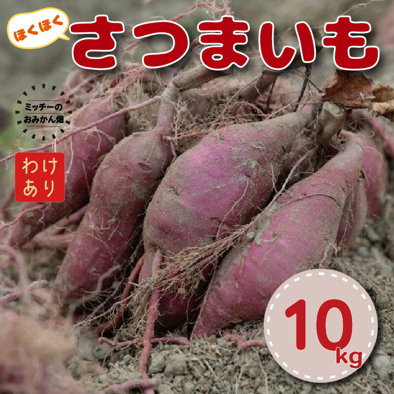 【ふるさと納税】 さつまいも 訳あり 愛南育ち 10kg ミッチーのおみかん畑