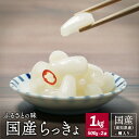 12位! 口コミ数「2件」評価「4.5」 国産 らっきょ 1kg 手作り 地らっきょ 漬物 発酵食品 大方産 らっきょう 樽入り 少量生産 希少 小粒 ギフト お取り寄せ 贈り物 ･･･ 