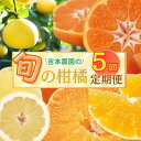 【ふるさと納税】 愛媛 の フルーツ 定期便 年5回 柑橘 吉本農園 甘平 文旦 河内晩柑 愛媛みかん 宝紅まどんな 5ヶ月 愛南ゴールド みかん フルーツ 愛...