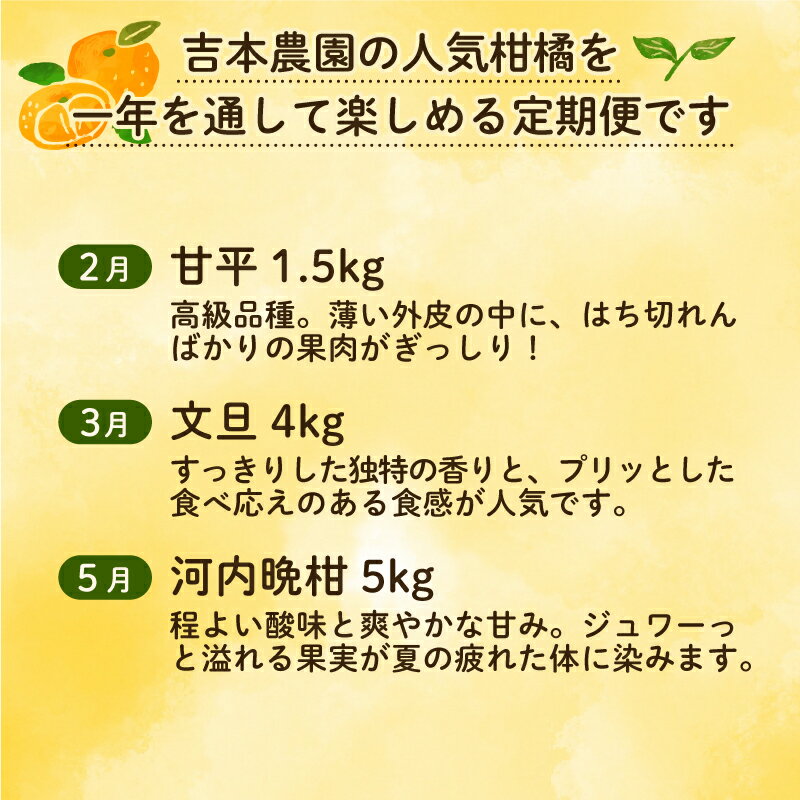 【ふるさと納税】 愛媛 の フルーツ 定期便 年5回 柑橘 吉本農園 甘平 文旦 河内晩柑 愛媛みかん 宝紅まどんな 5ヶ月 愛南ゴールド みかん フルーツ 愛媛県 愛南町 愛南