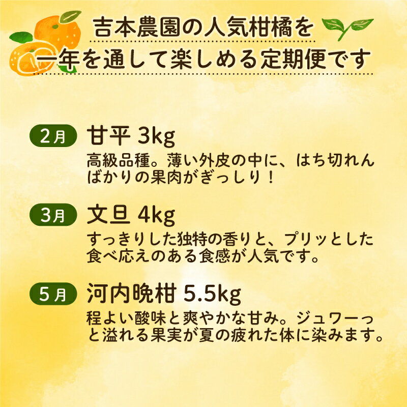 【ふるさと納税】 【 訳あり 】 愛媛 の フルーツ 定期便 年5回 柑橘 吉本農園 甘平 文旦 河内晩柑 愛南ゴールド 宝紅まどんな 5ヶ月 みかん フルーツ 愛媛県 愛南町 愛南