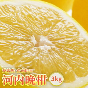 【ふるさと納税】 河内晩柑 約3kg お試し おためし 晩柑 かわちばんかん 柑橘 和製 グレープフルーツ 国産 愛媛 みかん 果物 果実 フルーツ アイランド マルエム 直販 おいしい ビタミン 傷 規格外 不揃い 愛媛県 愛南町 お届け:2025年6月1日〜8月上旬 (なくなり次第終了)