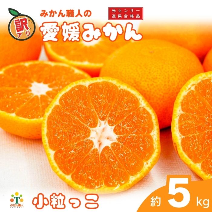 【ふるさと納税】 訳あり 愛媛みかん 小粒っ子 約5kg 光センサー選果 柑橘 果物 国産 フルーツ 蜜柑 大小 ミックス 不揃い 傷 温州 ビタミン 美味しい みかん職人武田屋 愛媛県 愛南町 発送期間: 9月中旬〜1月中旬のサムネイル
