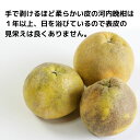 愛媛県愛南町の画像2