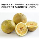 愛媛県愛南町の画像3