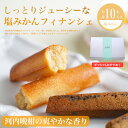 【ふるさと納税】 フィナンシェ 塩みかん 10本セット お菓子 焼き菓子 バレンタイン ホワイトデー 河内晩柑 愛南ゴールド バター入り 10個 スイーツ 詰め...