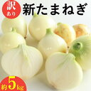 【ふるさと納税】 訳あり 新たまねぎ 5kg シルクオニオン 野菜 サラダ 玉ねぎ たまねぎ 新玉 スープ カレー サイズミックス 大小 傷 国産 オニオン 常温 送料無料 愛媛県 愛南町青果市場 発送:11月上旬~