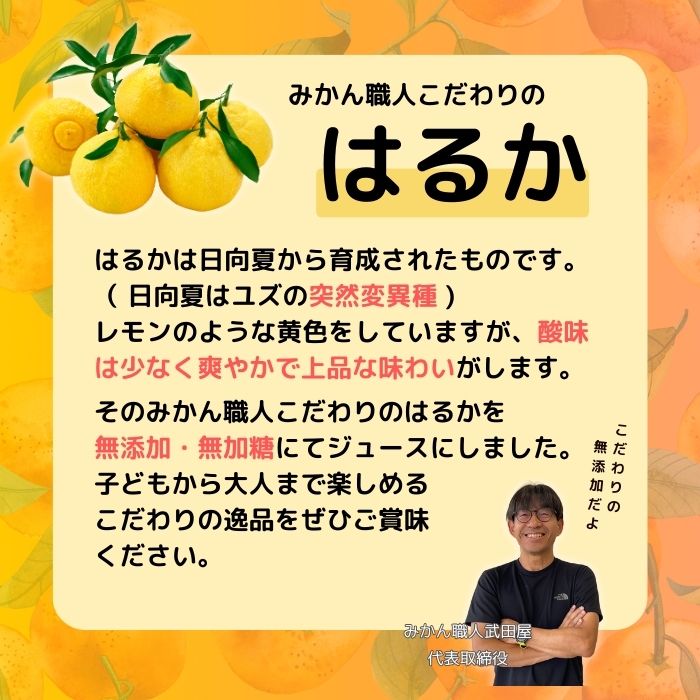 愛媛県愛南町の画像2