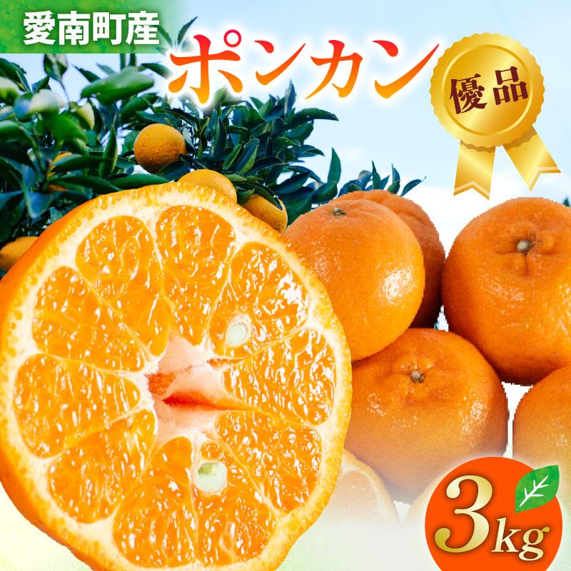 贈答品 ポンカン 約3kg【発送時期 2月上旬〜なくなり次第終了】 ぽんかん みかん 贈答品 ポンカン 果物 くだもの フルーツ 柑橘 蜜柑 数量限定 国産 愛媛 あいなん 1万円 ビタミン 特産品 高級品 優品 高級 甘い 蜜柑 柑橘 冬 清家ばんかんビレッジ 愛媛