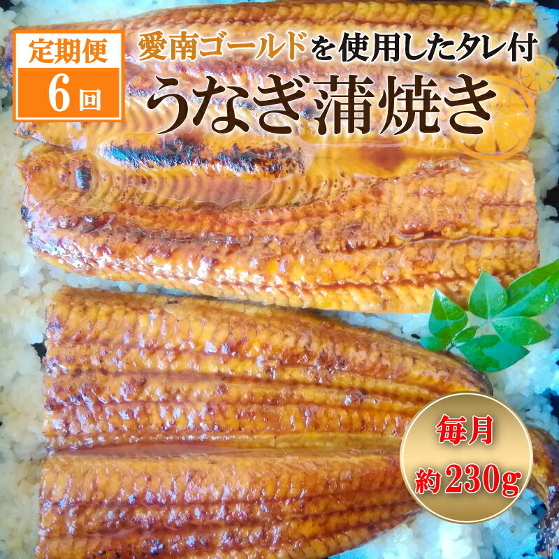 【ふるさと納税】 定期便 6回 四万十うなぎ 約230g×6回 愛南ゴールド 入り うなぎのたれ セット うなぎ..