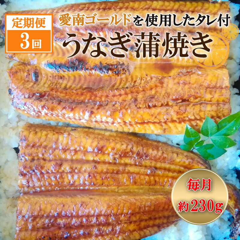 定期便 3回 四万十うなぎ 230g×3回 愛南ゴールド 入り うなぎのたれ セット うなぎ 蒲焼 ひつまぶし 国産 鰻 土用の丑の日 タレ ごはん ギフト 贈答用 山椒 四万十 愛南 愛媛