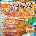 【ふるさと納税】 定期便 3回 四万十うなぎ 230g 3回 愛南ゴールド 入り うなぎのたれ セット うなぎ 蒲焼 ひつまぶし 国産 鰻 土用の丑の日 タレ ごはん ギフト 贈答用 山椒 四万十 愛南 愛媛