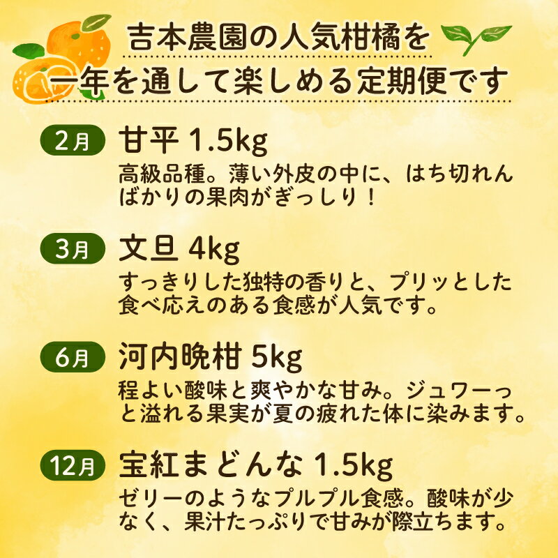 【ふるさと納税】 定期便 4回 柑橘 吉本農園 みかん 甘平 文旦 河内晩柑 宝紅まどんな 国産 産地直送