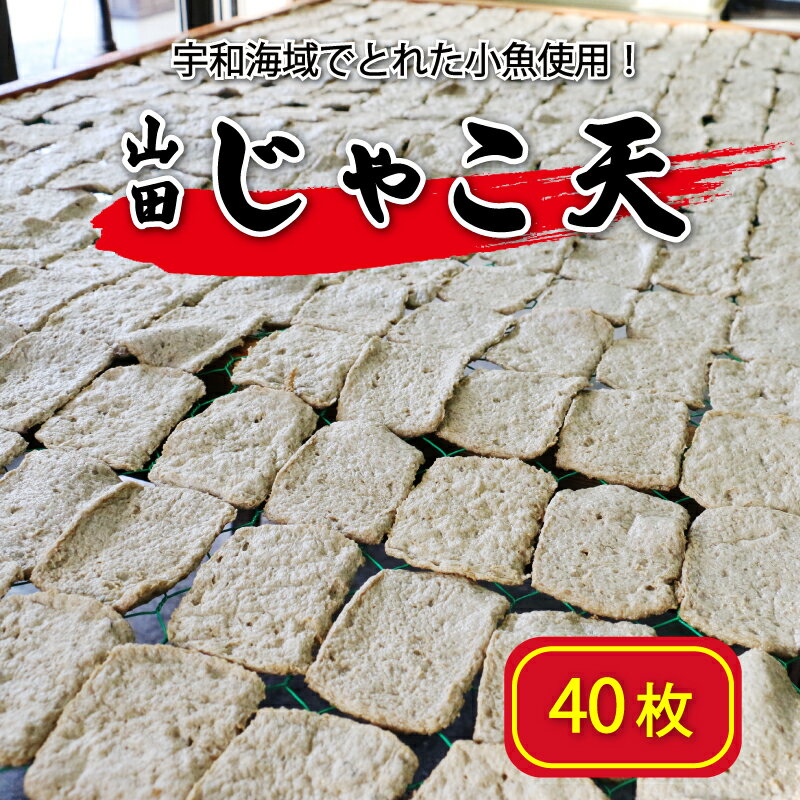 【ふるさと納税】 山田のじゃこ天 40枚 じゃこ天 すり身 さつま揚げ 郷土料理 おつまみ 肴 魚肉 ...