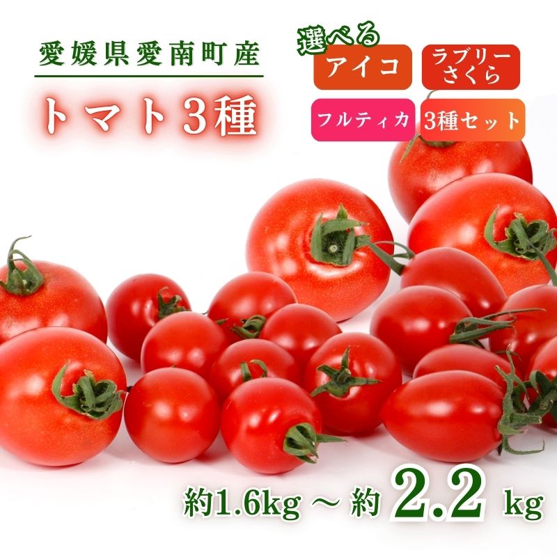 トマト 3種 アイコ ラブリーさくら フルティカ 約1.6〜2.2kg 大瀧農園 トマト 完熟トマト 野菜 産地 直送 人気 国産 愛媛県 愛南町 発送期間 2026年3月1日〜7月頃まで