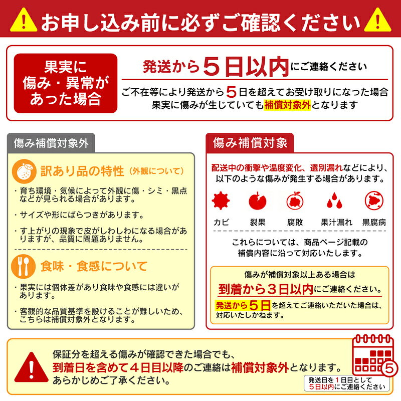 【ふるさと納税】 先行予約【2026年12月中旬～発送】 訳あり 愛媛 まどんな 3kg みかん 家庭用 愛果28号 紅まどんな 同品種 あいか 高級 人気 ブランド 柑橘 果物 フルーツ 期間限定 産地直送 国産 わけあり 特産品 mikan 蜜柑 ミカン マドンナ 吉田農園 愛南町 愛媛県 f385069-ainan-10001338 愛媛県愛南町 サンプル画像3
