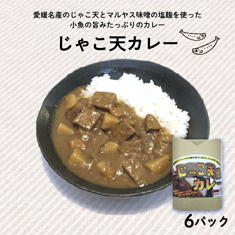 じゃこ天 カレー 6パック (1パック200g) 自家製 カレー マルヤス味噌