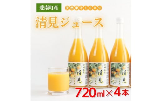 清見ジュース ストレート 720ml × 4本 中山農園 みかん 蜜柑 きよみ 清見 ポンカン ジュース 果物 ストレートジュース オレンジジュース 100% フルーツ ストレート 柑橘 無添加 農家直送 産地直送 数量限定 国産 愛媛 愛南 発送時期:2024年4月中旬〜なくなり次第終了