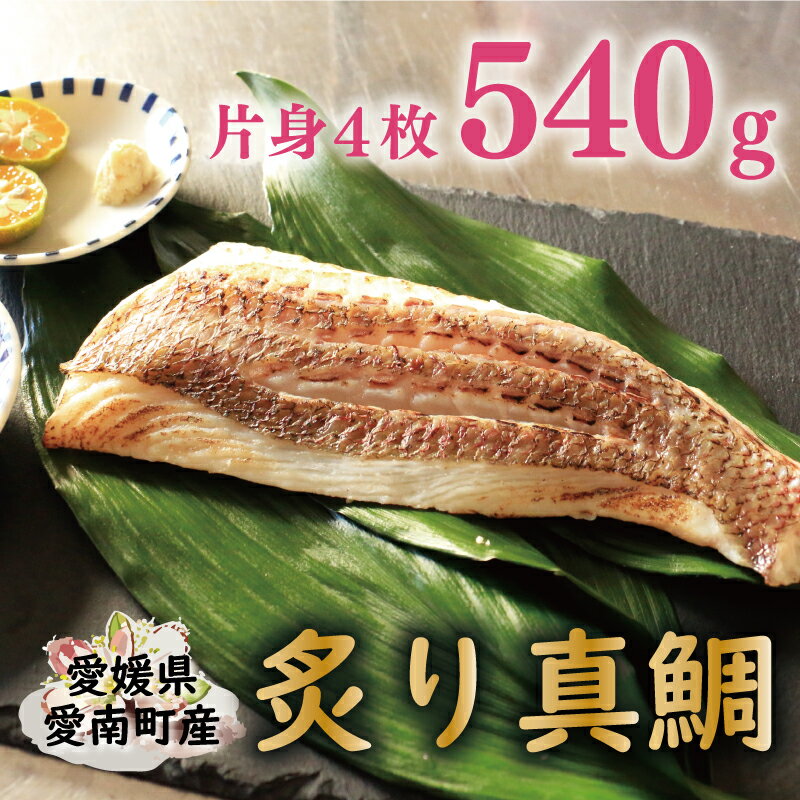 炙り 真鯛 切り身 4柵 合計 540g ( 270g ×2 パック ) 朝〆 まだい 鯛 愛南町 新鮮 冷凍 愛媛県 神経締め 皮引き 三枚おろし 国産 魚介 特産品 魚介類 海産物 産地直送 海鮮 ブランド 刺身 海鮮丼 塩焼き 煮付け 酒蒸し カルパッチョ 鯛しゃぶ 鯛めし