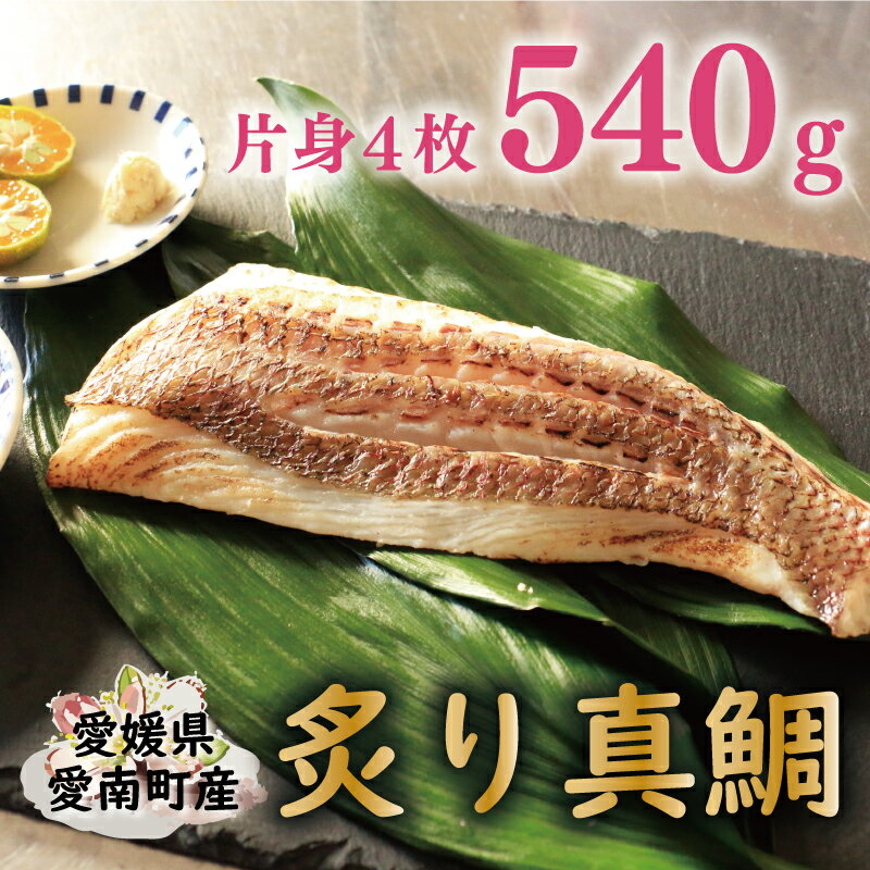 [ ふるさと納税 ]炙り 真鯛 切り身 4柵 合計 540g ( 270g ×2 パック ) 朝〆 まだい 鯛 愛南町 新鮮 冷凍 愛媛県 神経締め 皮引き 三枚おろし 国産 魚介 特産品 魚介類 海産物 産地直送 海鮮 ブランド 刺身 海鮮丼 塩焼き 煮付け 酒蒸し カルパッチョ 鯛しゃぶ 鯛めし