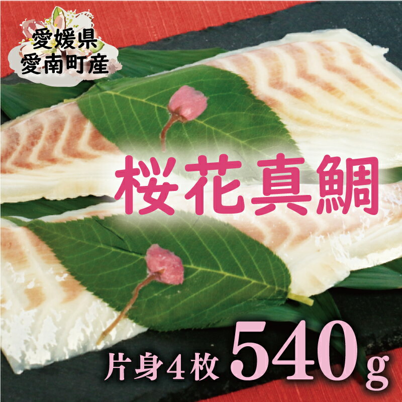 [ ふるさと納税 ]桜花 真鯛 切り身 4柵 合計 540g ( 270g ×2 パック ) 朝〆 まだい 鯛 愛南町 新鮮 冷凍 愛媛県 神経締め 皮引き 三枚おろし 国産 魚介 特産品 魚介類 海産物 産地直送 海鮮 ブランド 刺身 海鮮丼 塩焼き 煮付け 酒蒸し カルパッチョ 鯛しゃぶ 鯛めし