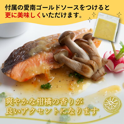 【ふるさと納税】 訳あり 国産骨取りサーモン 約750g~2kg 愛南ゴールドソース付き 熟成 切り身 国産 加熱用 冷凍 サーモン 魚 冷凍 鮭 さけ お魚 塩鮭 骨とり 小分け 数量限定 骨取り魚 愛南町 愛南サン・フィッシュ (クラウドファンディング対象) - Image 3
