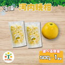 【ふるさと納税】冷凍 河内晩柑 500g/1kg ( 果物 くだもの フルーツ 愛南ゴールド 和製グレープフルーツ おやつ 柑橘 かんきつ 冷凍 冷凍柑橘 冷凍みかん 夏 アイス スムージー シャーベット みかん職人武田屋 愛媛県 愛南町)