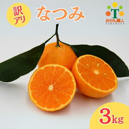 【ふるさと納税】 訳あり なつみ 3kg 柑橘 果物 国産 フルーツ 有名 愛媛 みかん 職人 武田屋 蜜柑 ブランド オレンジ 大小 ミックス サイズ 愛媛県産 果実 ビタミン 美味しい 生産者 直送 産直 発送期間:4月中旬〜なくなり次第終了