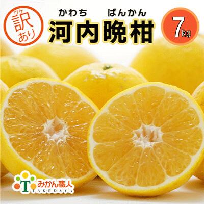 楽天ふるさと納税　【ふるさと納税】 訳あり 河内晩柑 7kg 晩柑 柑橘 和製 グレープフルーツ 国産 愛媛 果物 フルーツ 特産品 みかん職人武田屋 おいしい ビタミン 傷 家庭用 発送期間：3月下旬～8月末 (なくなり次第終了)