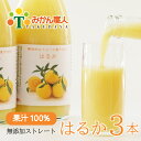 【ふるさと納税】 はるか ジュース 1000ml 3本 無添加 果汁 100 柑橘 果物 国産 フルーツ 有名 愛媛 みかん職人武田屋 蜜柑 ブランド オレンジ 愛媛県産 果実 ビタミン 美味しい 生産者 直送 産直 発送：2024年2月~