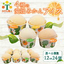 【ふるさと納税】 4種の愛媛柑橘カップアイス 食べ比べ 容量 12個/24個 各65ml (夢オレンジ 河内晩柑 愛媛みかん 不知火) シャーベット ジェラート...