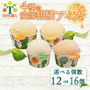 【ふるさと納税】 4種の愛媛柑橘カップアイス 食べ比べ 容量 12個/16個 各65ml (夢オレンジ 河内晩柑 愛媛みかん 不知火) シャーベット ジェラート...