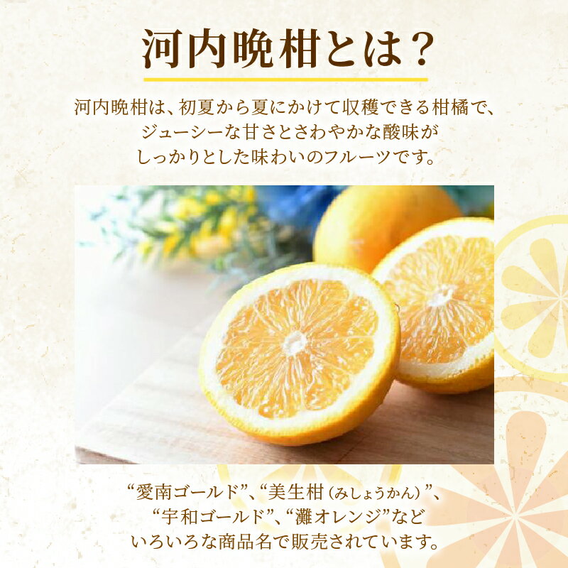 【ふるさと納税】 先行予約 選べる 容量 訳あり 河内晩柑 7kg 10kg みかん 蜜柑 愛南ゴールド フルーツ 果物 くだもの 柑橘 和製 グレープフルーツ みかん 蜜柑 柑橘 柑橘類 フルーツ 果物 くだもの ゼリー ジュース 愛媛県 愛南町 山口農園