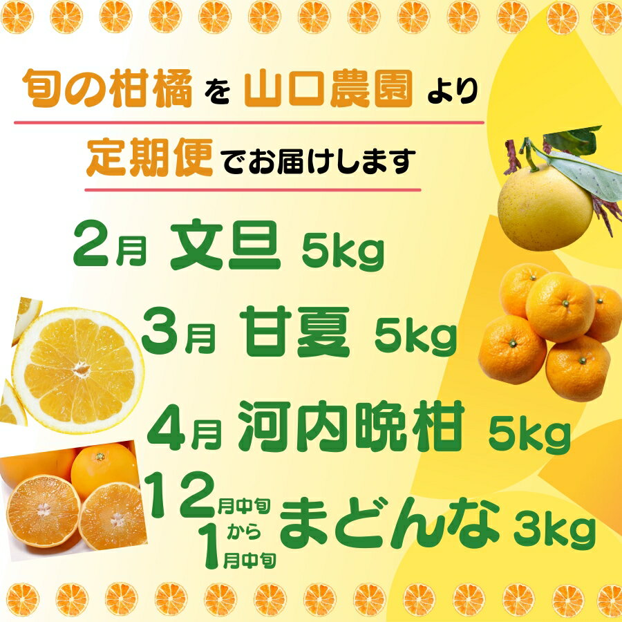 【ふるさと納税】 年 4回 旬 の 柑橘 定期便 （ まどんな ・ 文旦 ・ 甘夏 ・ 河内晩柑 ）フルーツ サブスク 産地直送 農家直送 紅まどんな 愛果28号 ぶんたん あまなつ 愛南ゴールド 和製 グレープフルーツ プレゼント ご褒美 贈答 お歳暮 愛媛県 愛南町 山口農園