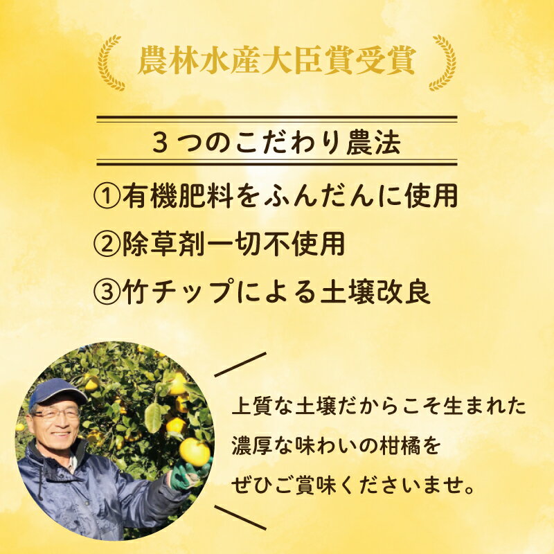 【ふるさと納税】 先行予約【訳あり】 吉本農園の木取り完熟愛南ゴールド 河内晩柑 5.5kg みかん 蜜柑 愛南ゴールド 送料無料 和製 グレープフルーツ 果物 柑橘 フルーツ ゼリー ジュース 美容 健康 愛南町 特産品 お取り寄せ 発送：2024年5月15日~なくなり次第終了