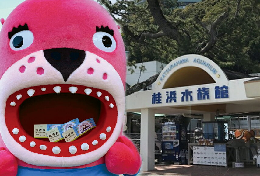 【ふるさと納税】桂浜水族館　入館券