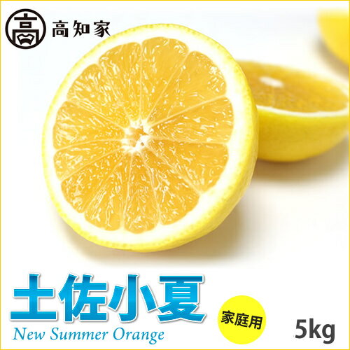 【ふるさと納税】高知産 ご家庭用「土佐小夏」約5kg(期間限定品)(土佐市)