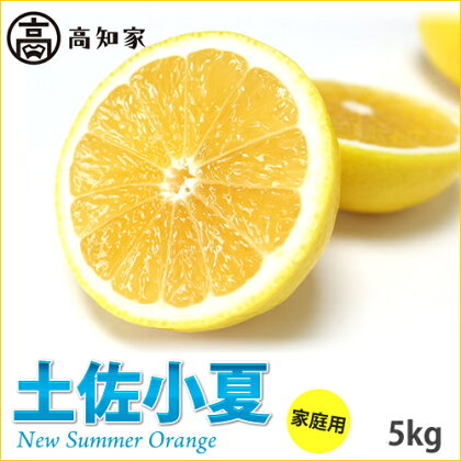 高知産　ご家庭用「土佐小夏」約5kg（期間限定品）(土佐市)