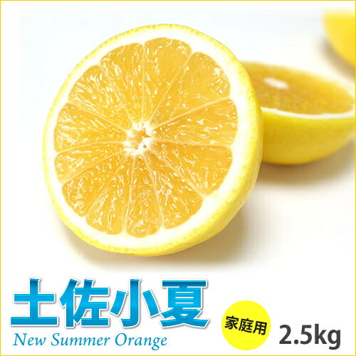 高知産 ご家庭用「土佐小夏」約2.5kg(期間限定品)(土佐市)