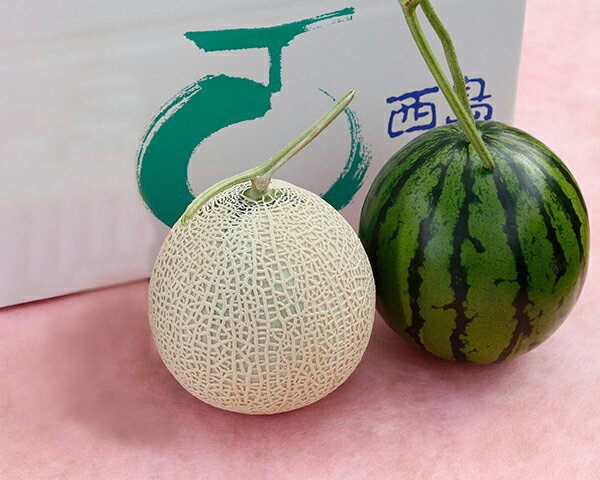 【ふるさと納税】高知県産　マスクメロン&小玉スイカ　セット　各1玉「期間限定品」のサムネイル