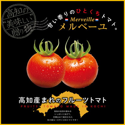 【期間限定品】高知産フルーツトマト「メルベーユ」　約1kg