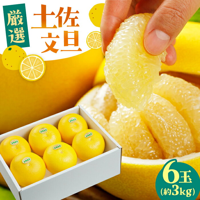 【ふるさと納税】【先行予約】 厳選・温室土佐文旦 約3kg（6玉入り）〈2026年12月初旬〜2027年1月末頃発送〉 / 文旦 温室土佐文旦 温室 土佐文旦 3kg 6玉 柑橘 果物 フルーツ デザート 季節限定 期間限定 【L＋武田青果】 [ATIT006]