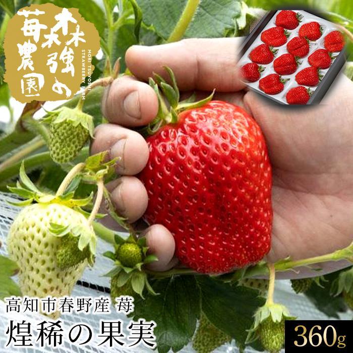 【ふるさと納税】煌稀の果実　高知市春野産 苺（360g・9or12粒） | いちご 高級 フルーツ ギフト お取り寄せ 大粒 大きい サイズ 限定 送料無料 高知市