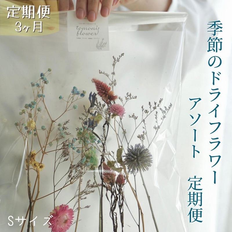 《定期便 3ヵ月》季節のドライフラワーアソートS スワッグ 花束 ドライフラワー | らんまん 花 植物 お花 アレンジメント 高知 人気 おすすめ 送料無料