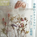 【ふるさと納税】《定期便 6ヵ月》季節のドライフラワーアソートM スワッグ 花束 ドライフラワー | らんまん 花 植物 お花 アレンジメント 高知 人気 おすすめ 送料無料