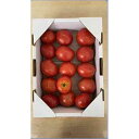 【ふるさと納税】高知市産 家庭用 フルーツトマト 約1kg 