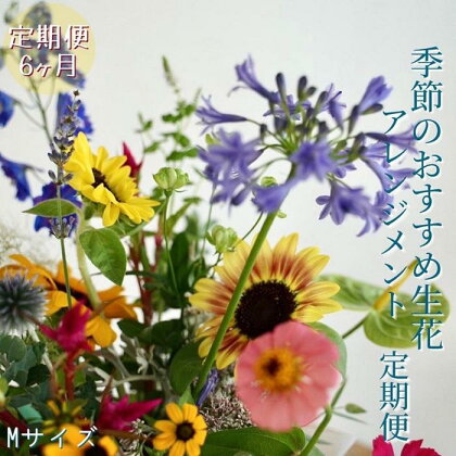 《定期便6ヵ月》おすすめ生花アレンジメントM | らんまん 花 植物 お花 アレンジメント 高知 人気 おすすめ 送料無料