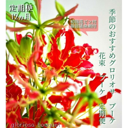 《定期便 12ヵ月》生花グロリオサ花束 ブーケ 初回花瓶付 | らんまん 花 植物 お花 アレンジメント 高知 人気 おすすめ 送料無料